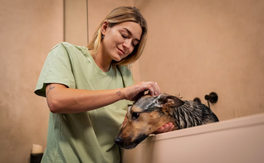 side-view-woman-washing-dog_23-2149652688 1